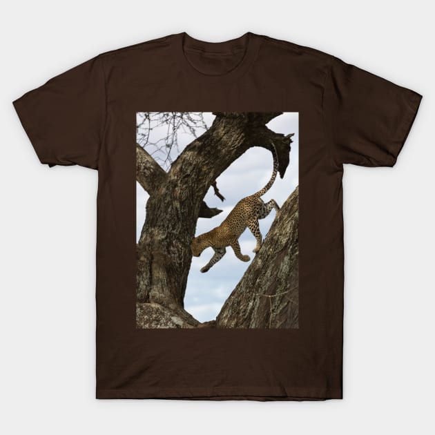 African Leopard on a Tree T-Shirt by yairkarelic